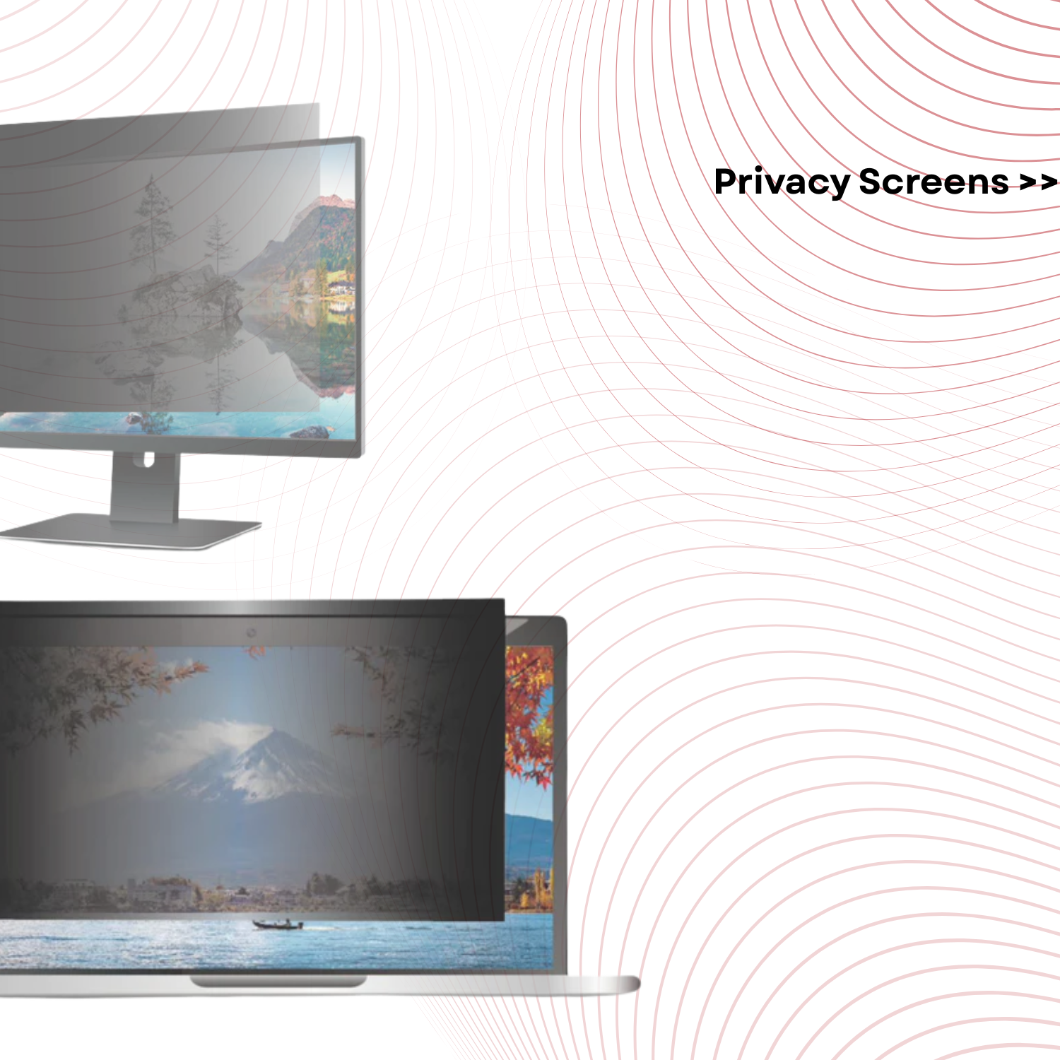 Privacy Screens